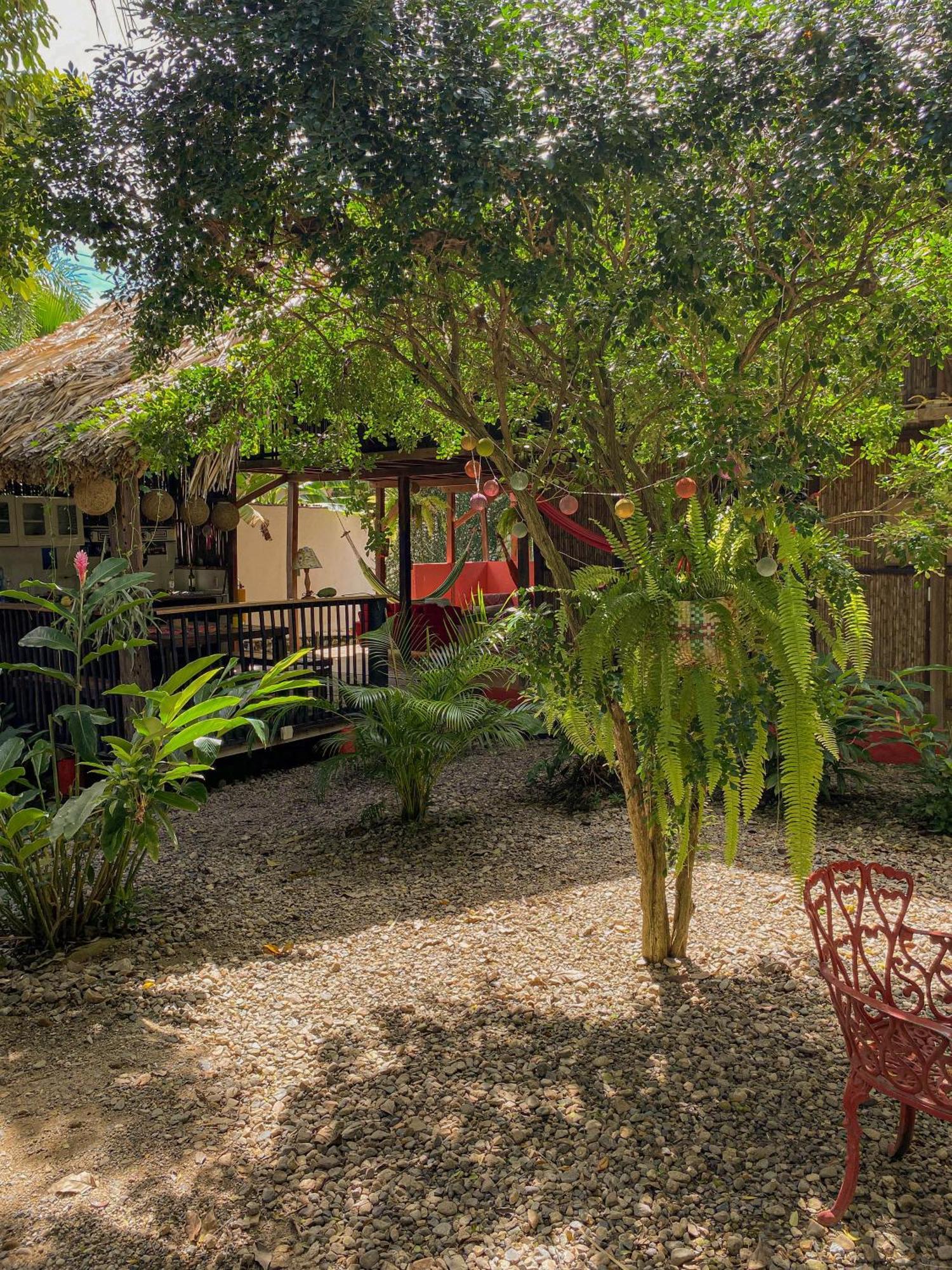 Hostal Zinpar Palomino Bagian luar foto